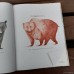 Практическая медведология для начинающих