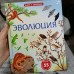 Эволюция