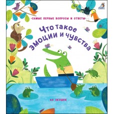 Что такое эмоции и чувства (40 окошек)