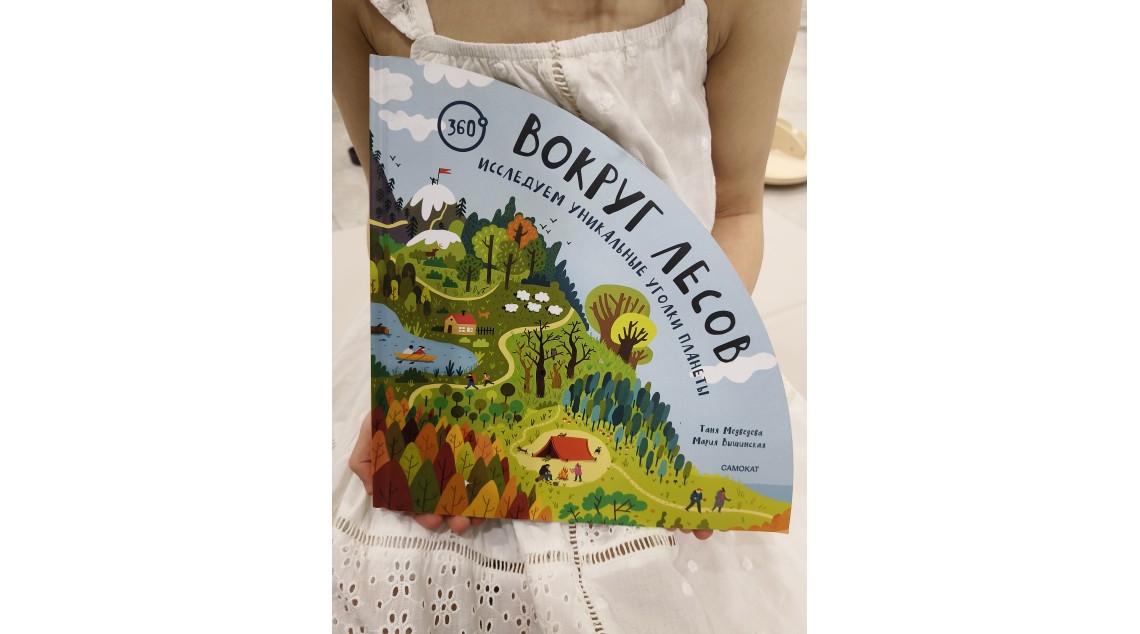 Вокруг лесов